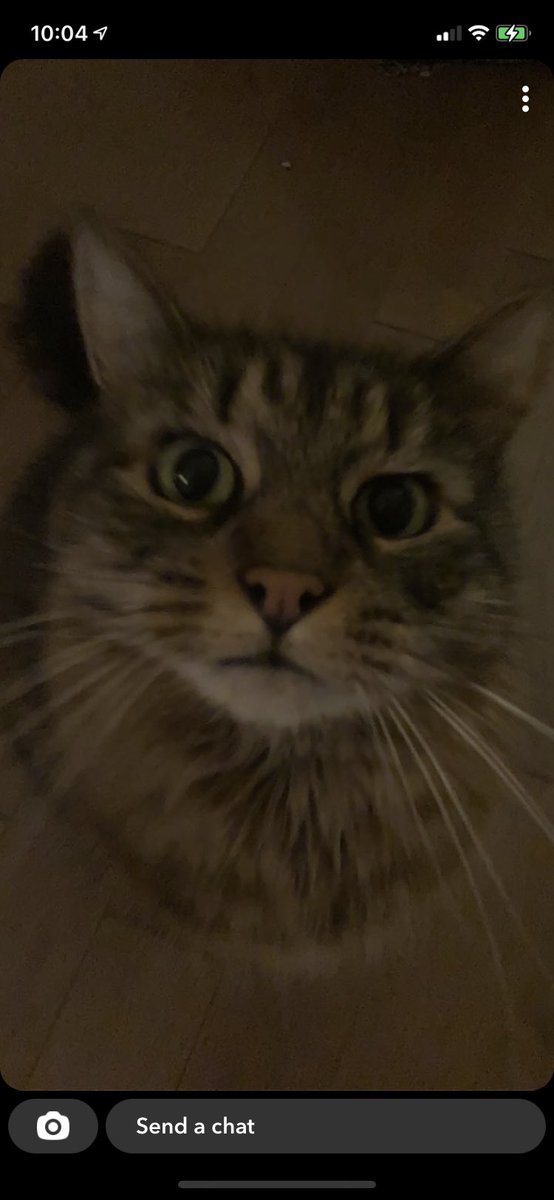 Daniel Gottlieb tweet media