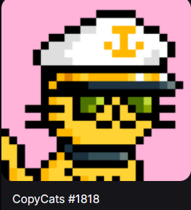 ZirtoB's tweet photo. @SocksOnSolana @CopyCatsSOL @KaeruKronicles Say hello to my ship's captain https://t.co/Bk6J5ZuHV2