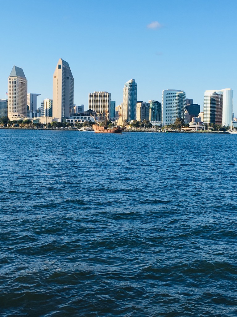 FrancoiseNetter's tweet image. “I would teach #peace rather than war. I would incubate #love rather than hate.”—Albert Einstein