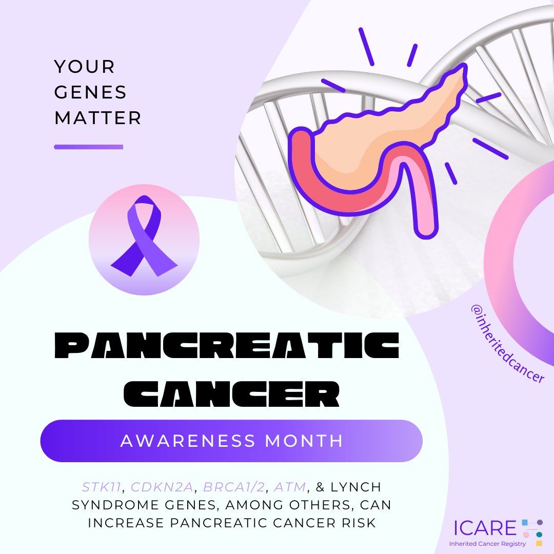 inheritedcancer's tweet photo. In honor of #PancreaticCancerAwarenessMonth, we want to spread #awareness about the #genes that increase your risk for developing #pancreaticcancer - #STK11, #CDKN2A, #BRCA, #ATM, &amp; #LynchSyndrome genes, among others. Learn more about #inheritedcancer at https://t.co/xREVz2L6mc https://t.co/n0OhEY3fdd
