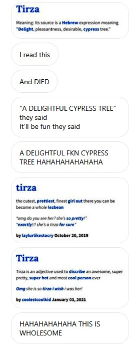 georgtirza's tweet photo. So there's that trend where you look up your name in the Urban Dictionary... My cousin looked up my name and this was her reaction 😂😂 https://t.co/mNHfpyP8qK
