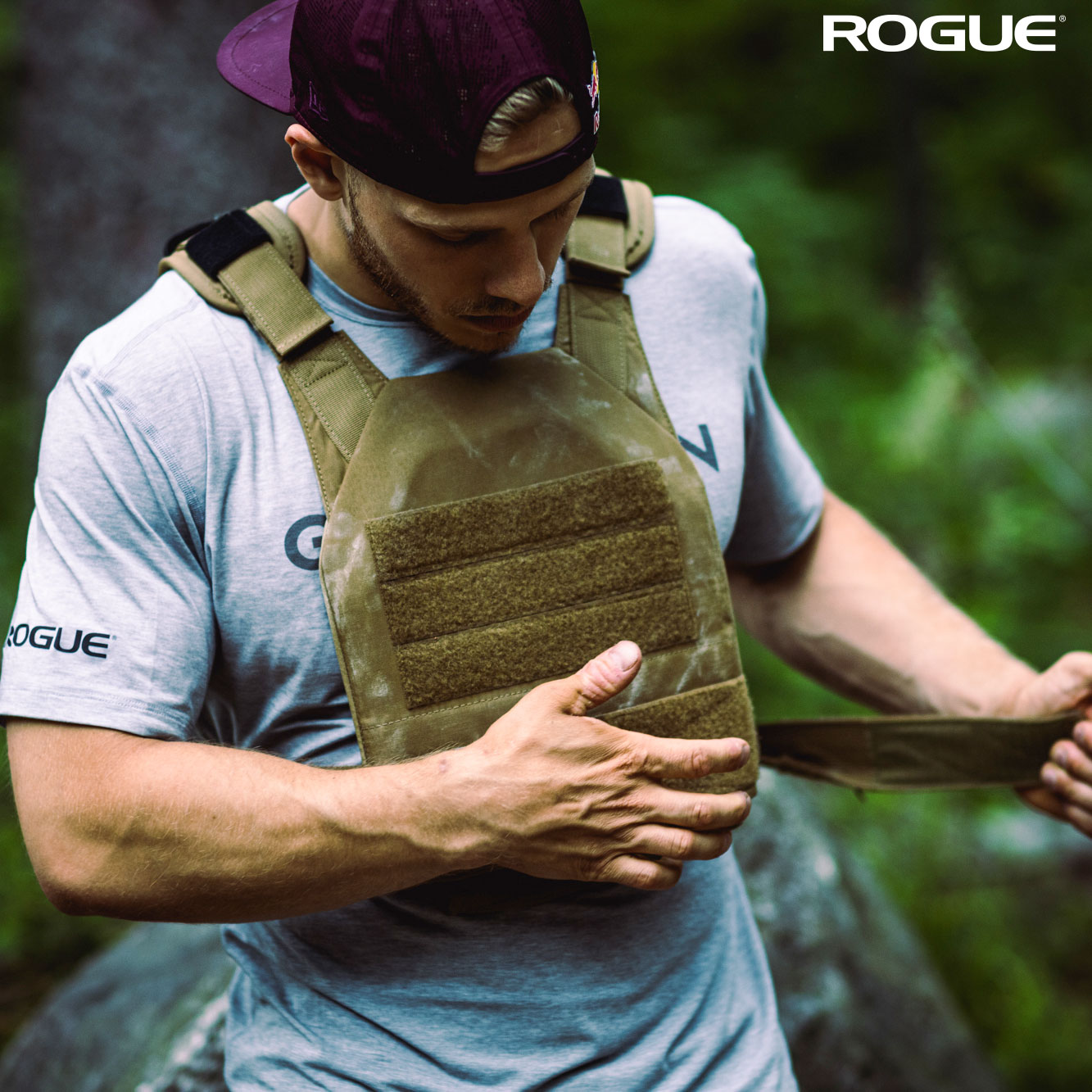 Rogue condor sentry plate carrier sale