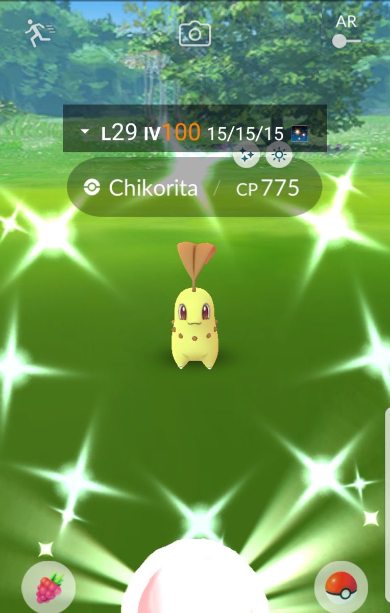 Jakerstrike777's tweet photo. Letsss gooooo!!! Finally found my first Shundo Squirtle π and I didnβt take the SS of counting for the first 24 too and thatβs 911 so prob 700+ more than that to get it but I got my 3 Shundo Chikorita right before tho!!! ππ―β¨ππ―β¨ππ―β¨π
#ShundoMasters https://t.co/LaI9yJ1xla