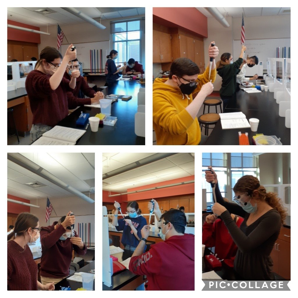 Wierzbowski_Bio's tweet photo. WMHS Biotechnology students have begun cloning red fluorescent protein (RFP). Many thanks to @LSO_ABEMA for their support. Looking forward to visualizing our results next week! @LSO_ABEMA #ABEMA #MassBioEd https://t.co/GoNnp2aCJW