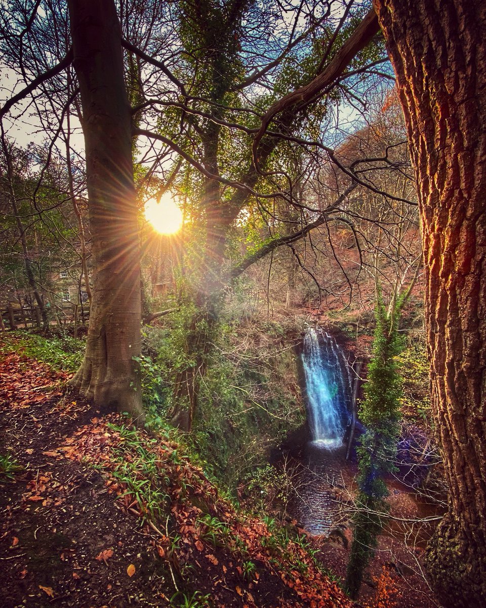 helenofwhitby's tweet photo. ‘There is an old deep magic in this wood which has seeped into my bones’🤎
#FallingFoss #waterfall looking totally beautiful this afternoon in the autumn sunshine ☀️🍂 Thanks for all your RTs, comments &amp; likes recently, as always, means so much😍 Enjoy the rest of the evening😘 https://t.co/odrInH5zfJ