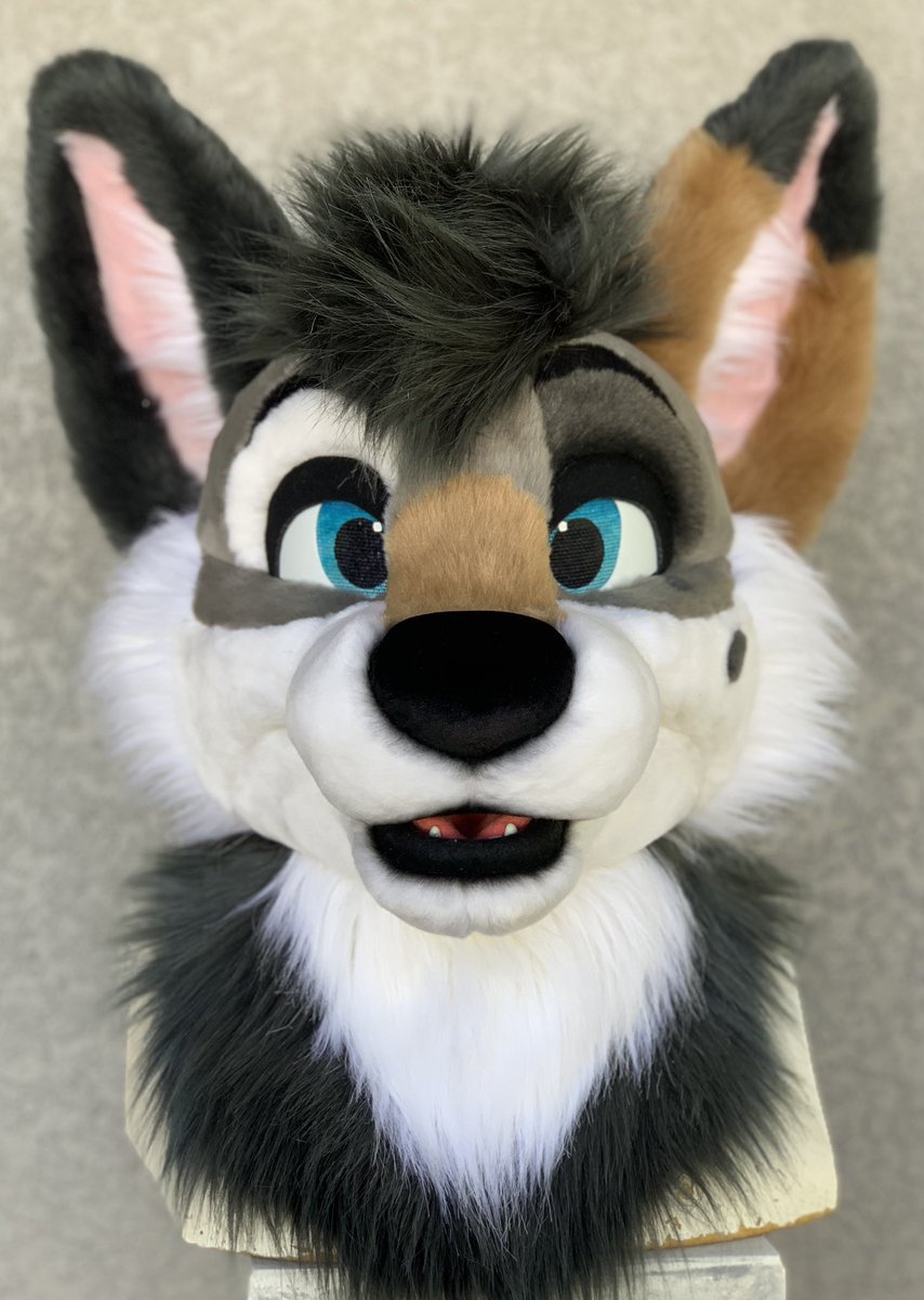 Fursuits By Lacy tweet media
