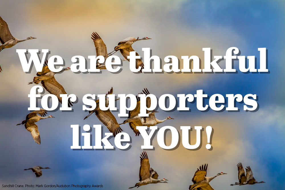 Rowe Sanctuary tweet media