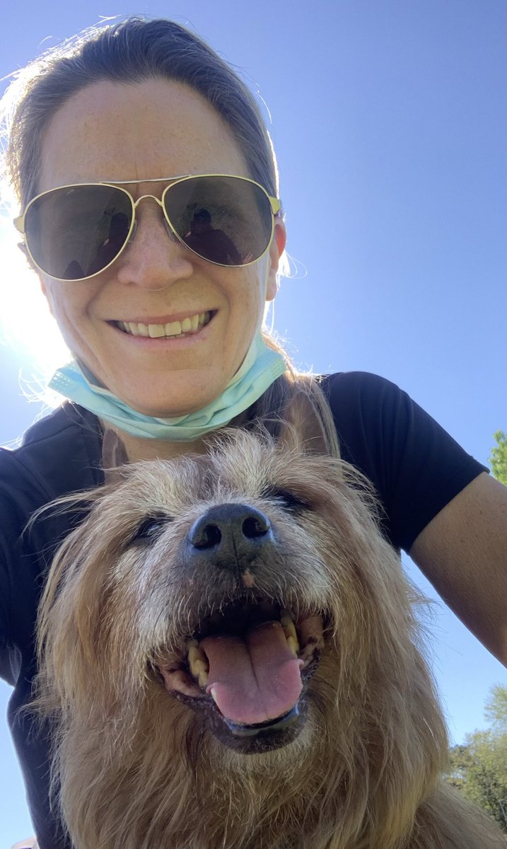 KA_McGregor's tweet photo. @overingtonc This guy came to live with us at age 12 and still going strong… ❤️ https://t.co/wd9fNlJ7wa