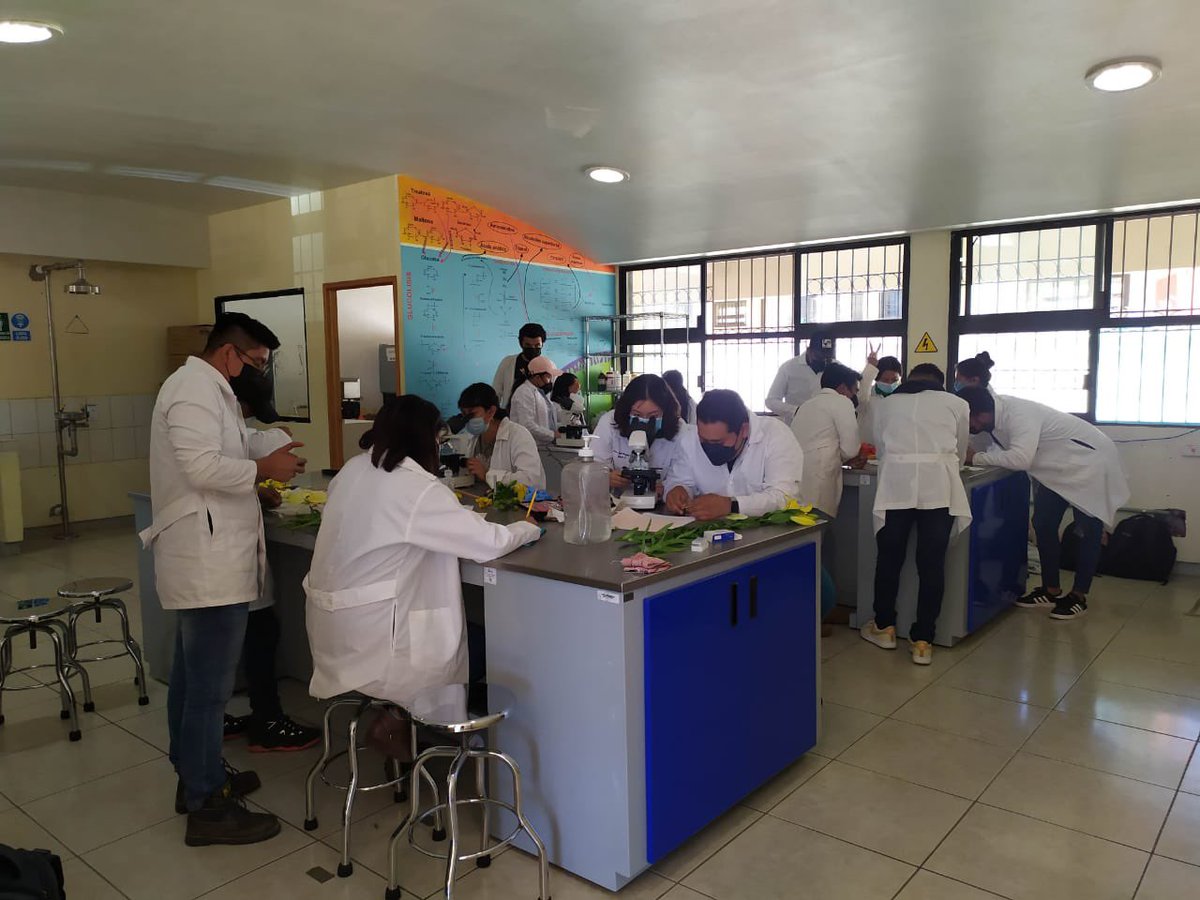 utvco's tweet photo. Siguiendo el #ProtocoloRegresoSeguro, estudiantes de @agro_utvco 👩🏻‍🌾👨🏻‍🌾, asisten a la Universidad a realizar prácticas presenciales sobre los Índices de polinización.
#ComunidadUTVCO🙋🏻‍♀️🙋🏻‍♂️ https://t.co/xGCpuqwOXD