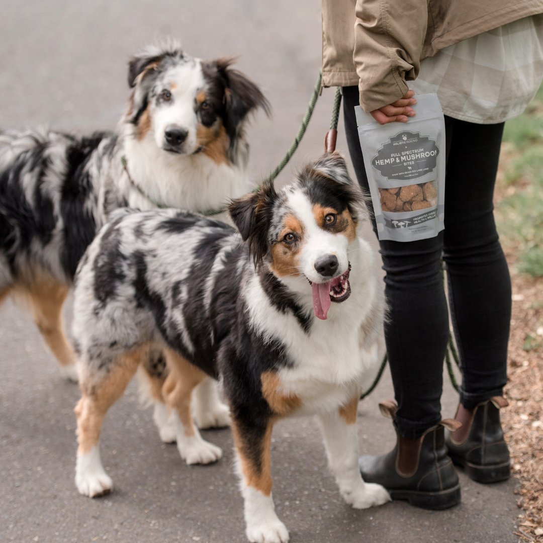 Holistic Hound will be closed Thursday 11/25 and Friday 11/26 to celebrate Thanksgiving with our friends, family, and pets! Orders placed over the holiday weekend will ship Monday 11/29.