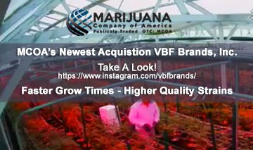 MCOAmerica's tweet photo. Have you had a chance to check out our latest aquistion, VBF Brands, Inc?

Click here to learn more!

https://t.co/4x79ohNiCd

$MCOA #MCOA #marijuana #cannabis https://t.co/zsRH8ppVkQ