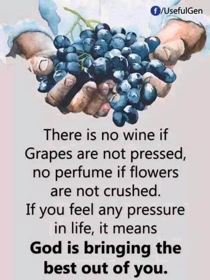 SSharma_O2's tweet photo. https://t.co/hd9WEm6mn2