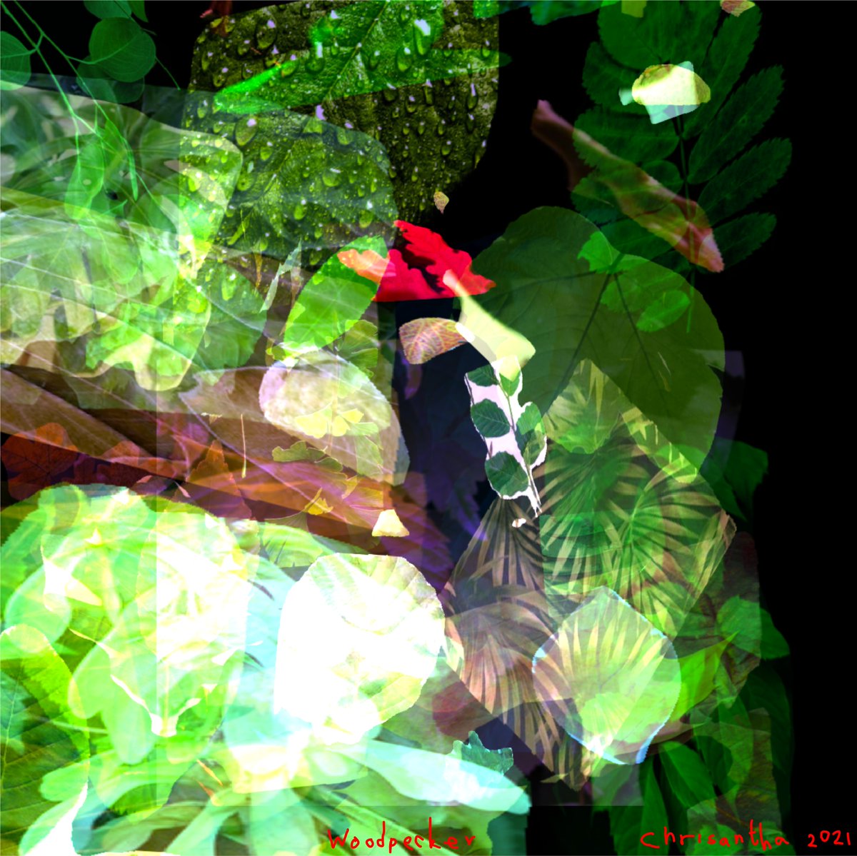 chrisantha_f's tweet photo. #clip #generativeart #AIart #neveragan #notagan #gan #deeplearning #ai #woodpecker The Woodpecker inspired by @mmariansky https://t.co/EqtZEiKy2K