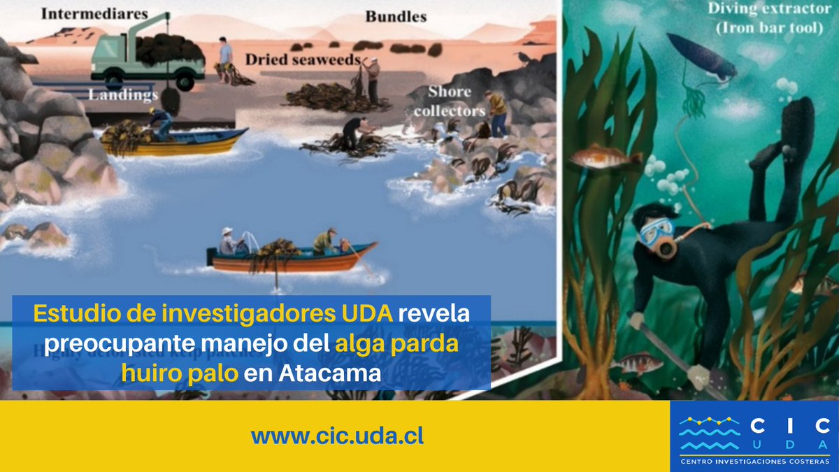 CIC-UDA tweet media