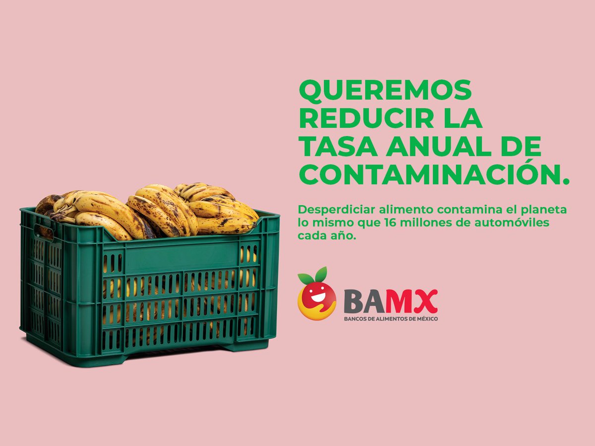 BAVeracruz's tweet photo. En México hay alimento suficiente para toda la población. Protejamos a nuestra comunidad y a nuestro planeta reduciendo el desperdicio de alimento. Conoce más en https://t.co/sfbGtGtXR9 ¡Somos los bancos que alimentan a México! #AlimentamosaMexico #BancosQueAlimentan https://t.co/MWxFyQbCs8