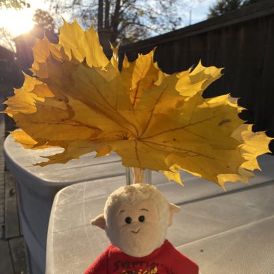 SkepticalGeorge's tweet photo. #NewProfilePic https://t.co/22OunDkObi