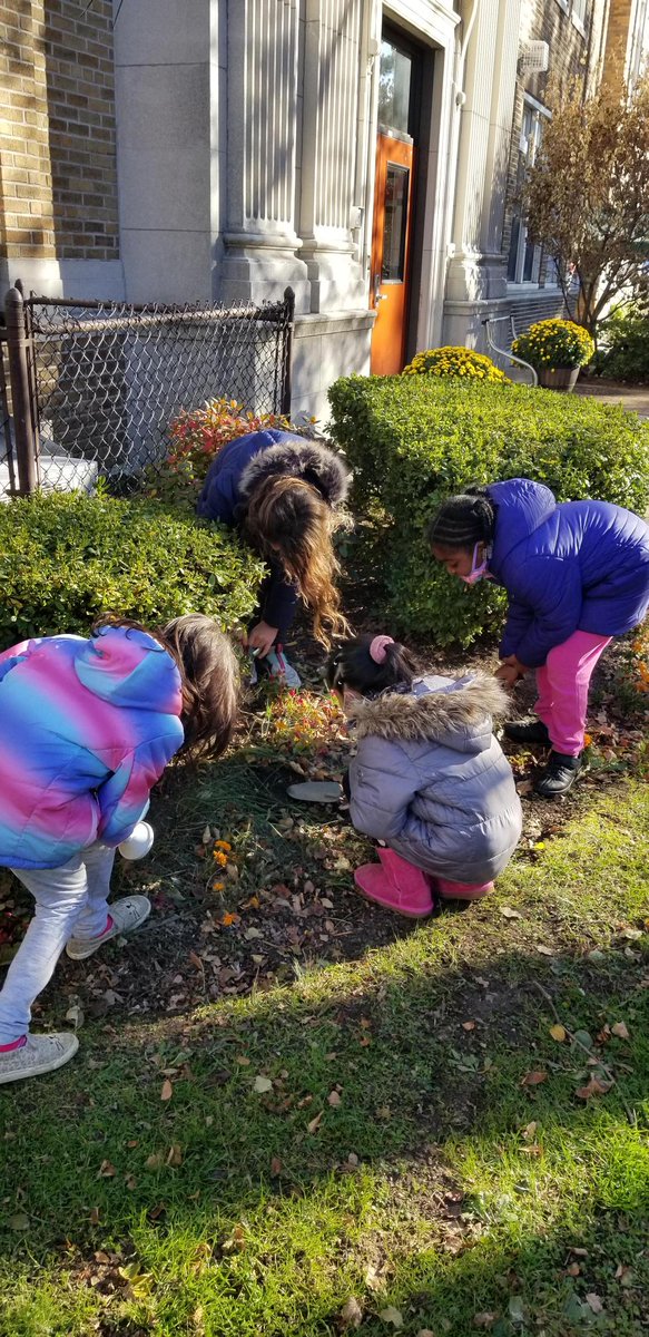 Rob Janowitz tweet media