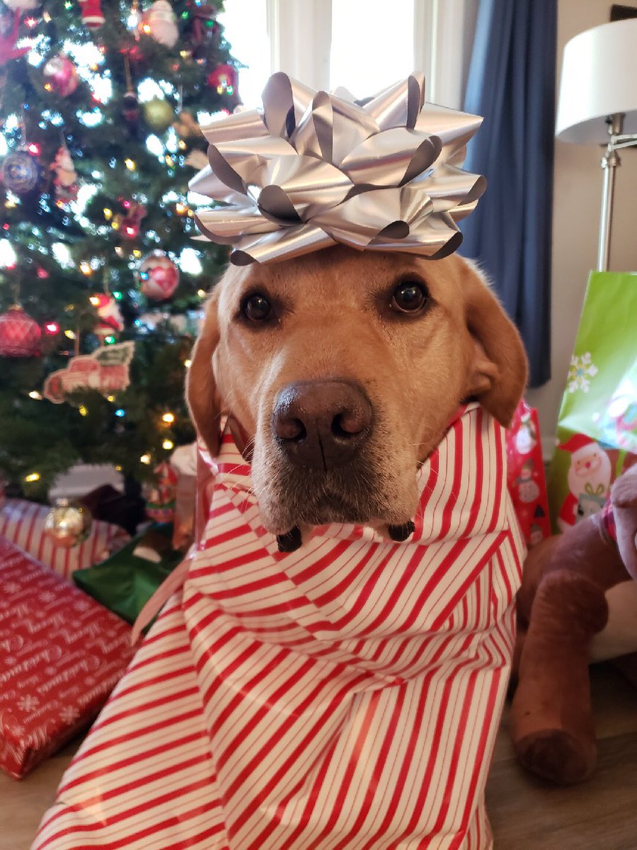 Landon is here to help me make a special announcement! 
I’ll be having a bunch of giveaways in the upcoming weeks w/lots of fun stuff! There will be <a href="/k9sofvalor/">K9s of Valor</a> hoodies, coins, patches, and the beloved stuffed K9 dolls up for grabs! Everyone will have the chance to win! Plz RT