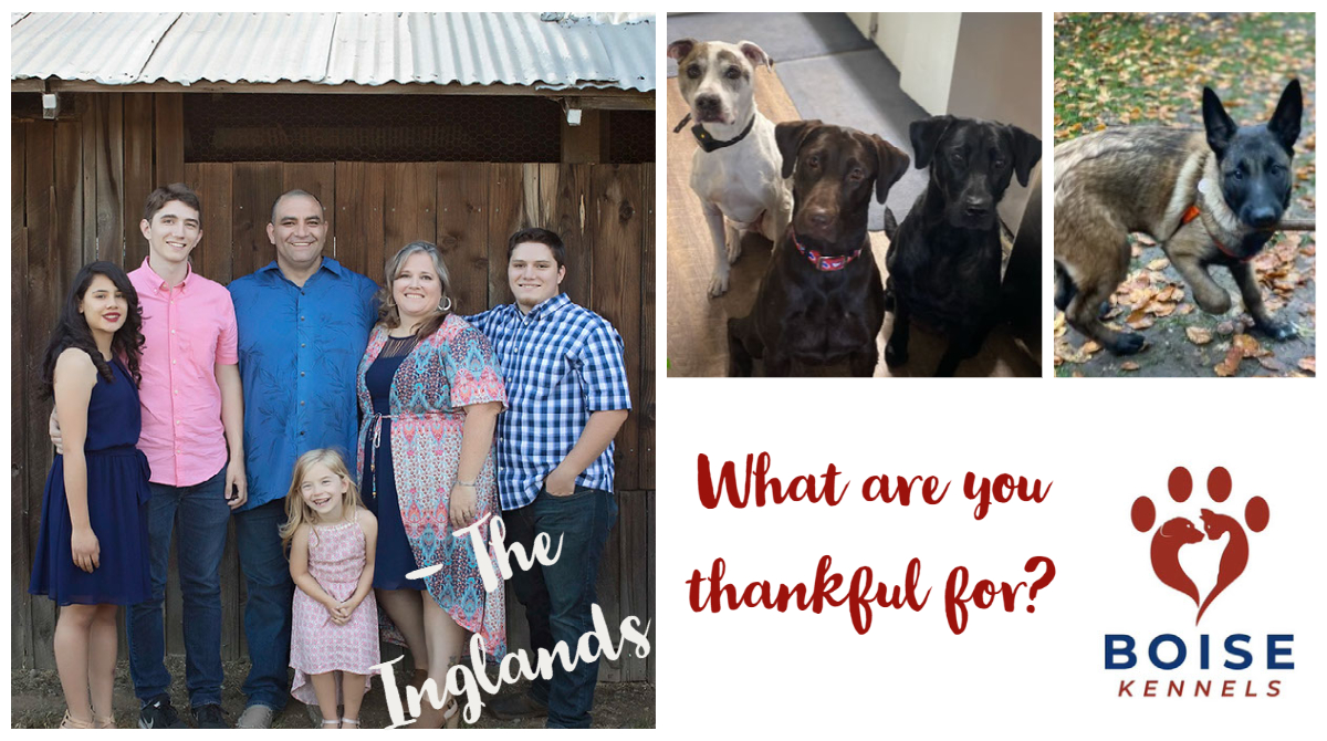 BOISE KENNELS (BoiseKennels) Twitter