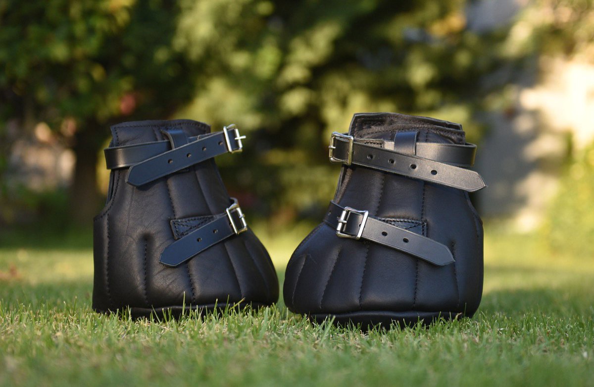 Torok 2022 Aşım sezonu avantajlı ön kayıt kontenjanı dolmak üzeredir. Torok’a ve Emirsoy harasına güven duyup değerli kısraklarını kayıt eden kısrak sahiplerine çok teşekkür ederiz.