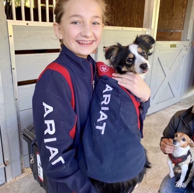 Ariat's tweet photo. While weโre doling out the gratitude, letโs not forget these guys. We are thankful for all the barn dogs that make our smiles grow even bigger!
#DogsOfAriat #AriatEq #Ariat #Equestrian #EquestrianLife #EquestrianStyle #DogJacket #BarnDog #Thankful #Gratitude PC: Instagram https://t.co/PzOnruSPlk