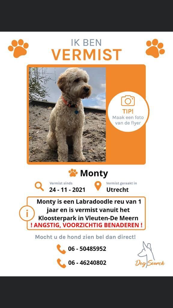 de_frode's tweet photo. AlarmAlarm! Mijn goede vriend Monty is zoek! 🙀Help hem zoeken aub https://t.co/73It0pJEzc