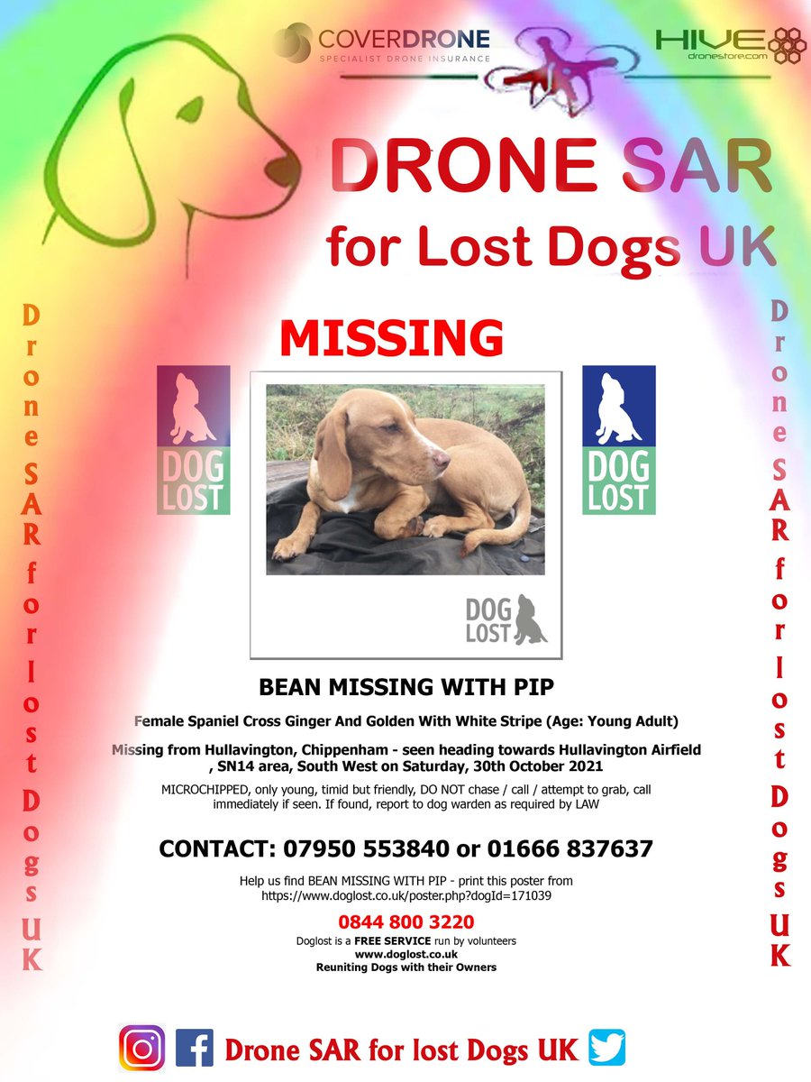 sar_dogs's tweet photo. #RIPPip&Bean Sadly Pip and Bean didn't make it back home, our hearts and thoughts go out to their family at this sad time π’π #RIP #RainbowBridge #DroneSAR https://t.co/ByWP9ovQvO