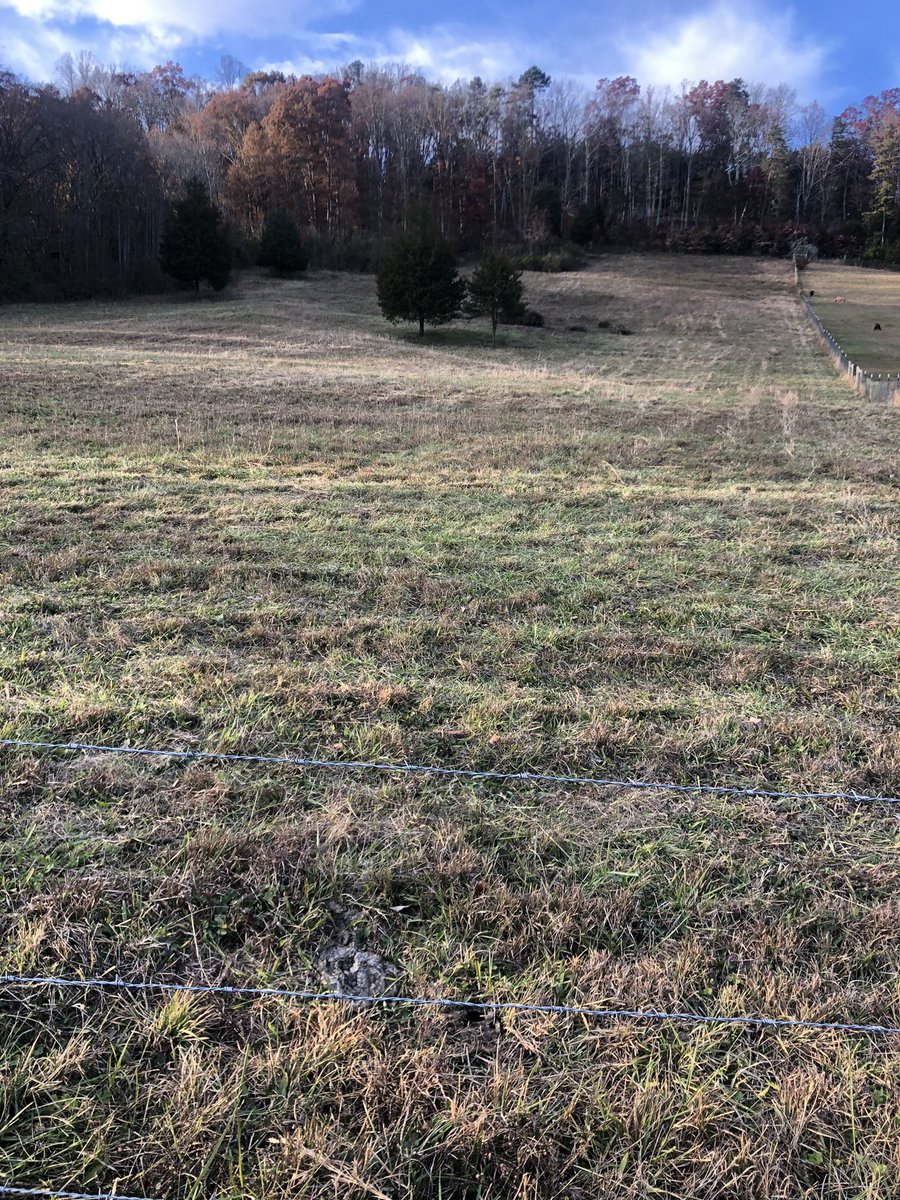 DarylChandler's tweet image. The winter project is 75% done! These guys worked their tails off today! @BryceSutton @masonchandler02