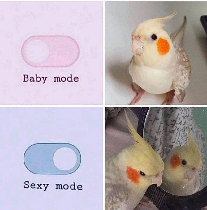 when you go from not wanting to be perceived to wanting lots of attention https://t.co/kPWeTpgxBh