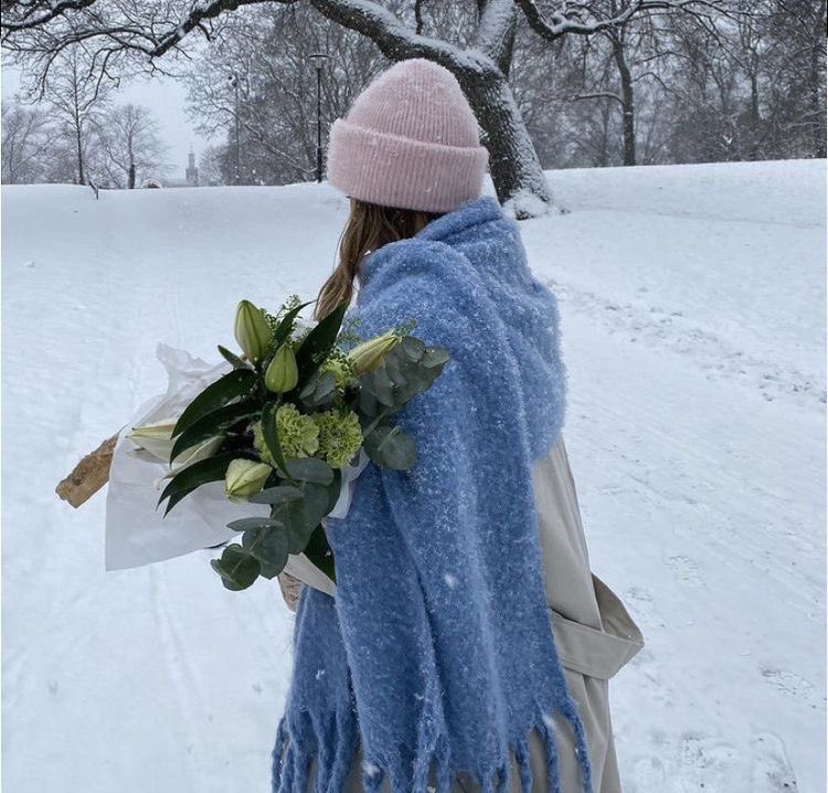 kaitlynscafe's tweet photo. winter on my mind ❄️ https://t.co/cR74VVwHqw