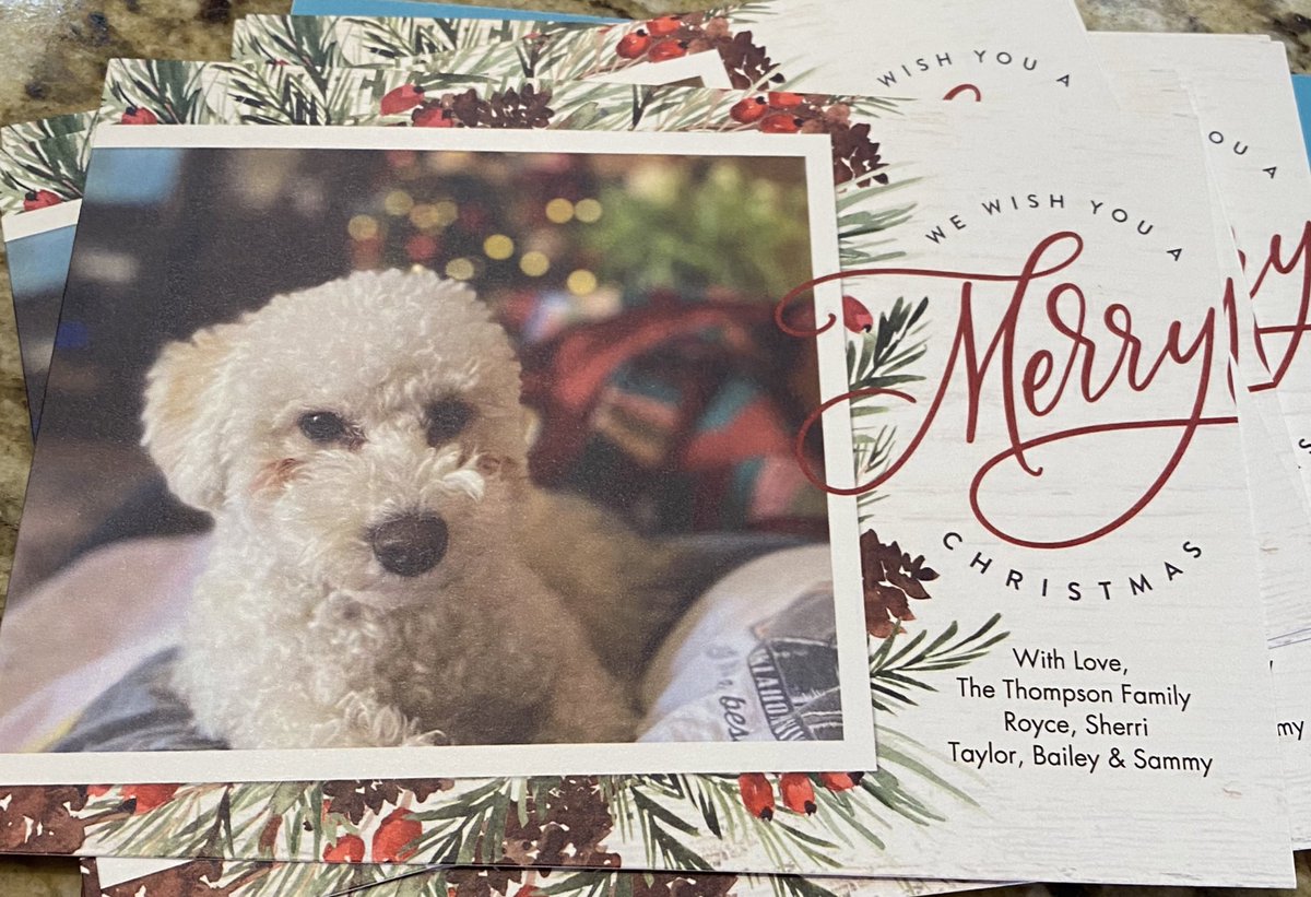 haram_bai's tweet photo. Mom: “Bailey look! I spelled your name right on the Christmas card this year”

Me: “yeah thanks mom” https://t.co/1avrx6HvVR