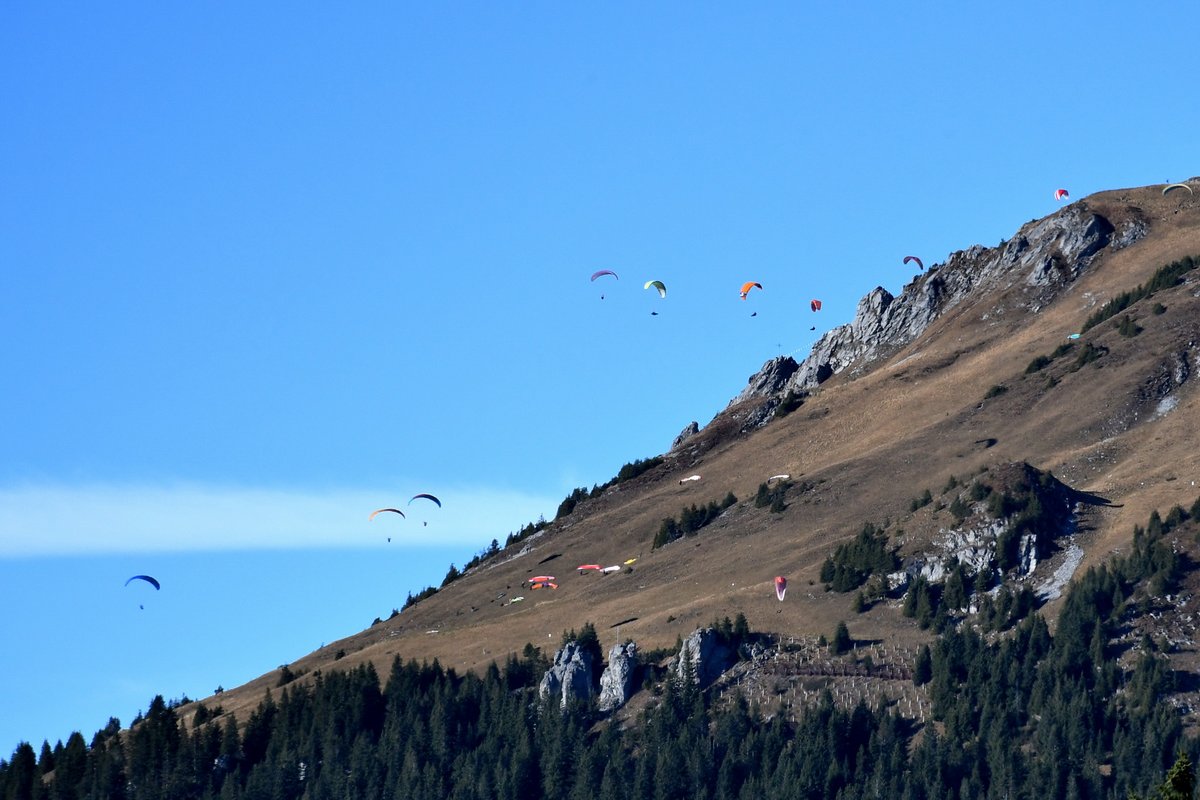 gurgeh's tweet photo. Before the ski season, on the sunny side of Engelberg

Fürenalp, OW, Nov'21 https://t.co/cRakeJNBPW