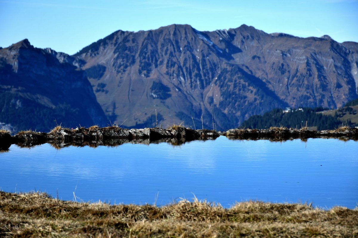 gurgeh's tweet photo. Before the ski season, on the sunny side of Engelberg

Fürenalp, OW, Nov'21 https://t.co/cRakeJNBPW