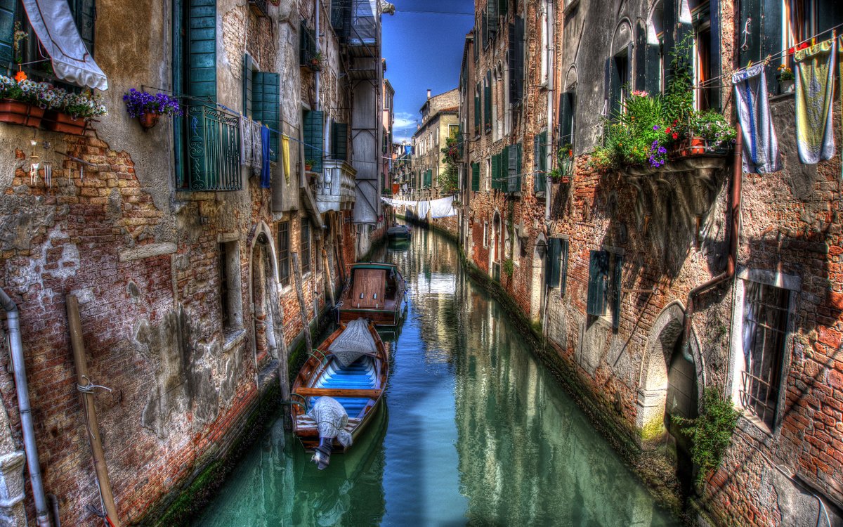 RoyaLegalNFTs's tweet photo. 🍾🎁#NFTGiveaway - Tranquil Venice Canal🎁🍾

🛎️To enter⤵️

✔️Follow me 🔔
✔️RT + 💙
✔️Tag 3 friends👩‍👧‍👧

🕰️10H

#NFT #NFTGiveaways #NFTs #NFTCommunity #NFTCollector #NFTCollectibles #Giveaway #NFTart #ProofOfWinner https://t.co/mojjLh9eOD