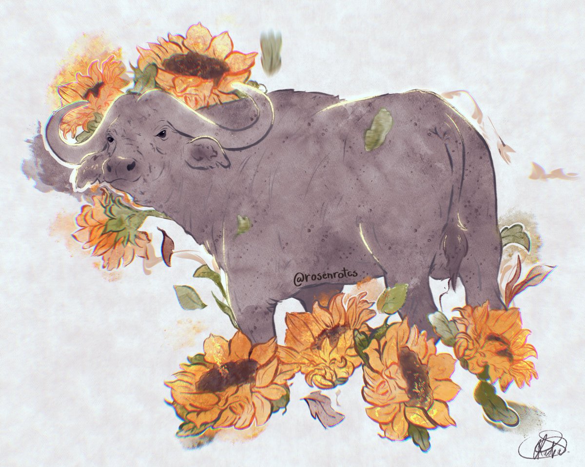 Rosenrot_CS's tweet photo. Fiz esse desenho para ajudar de alguma maneira na causa das mais de 800 Búfalas que foram deixadas para morrer pelo seu “proprietário” a mais de 4 meses, sem água e comida.
Fiz uma linda Búfala rodeada de girassóis, que representam a esperança 🌻
#bufalasdebrotas #bufalas https://t.co/UFI1oFPIva