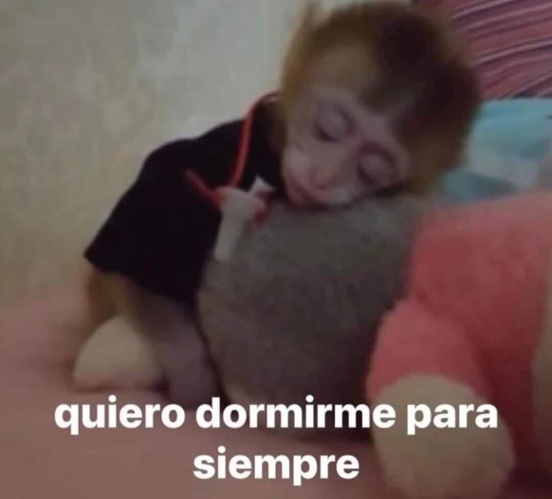 cxrrly's tweet photo. Mood https://t.co/Fzd3IY7EvE
