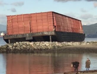 EnglishBayBarge tweet media