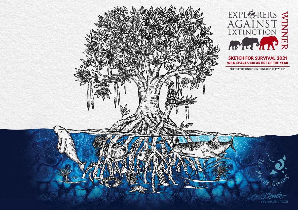Only 4 days left to see the ⁦@realafrica⁩ exhibition at the ⁦@OxoTowerWharf⁩ and to bid on the artwork. My artwork “Mangroves” which was the winner of the #sketchforsurvival competition in the category #wildspaces is currency at 380£! 😱🙏💙🌊100% supports ExplorersAE