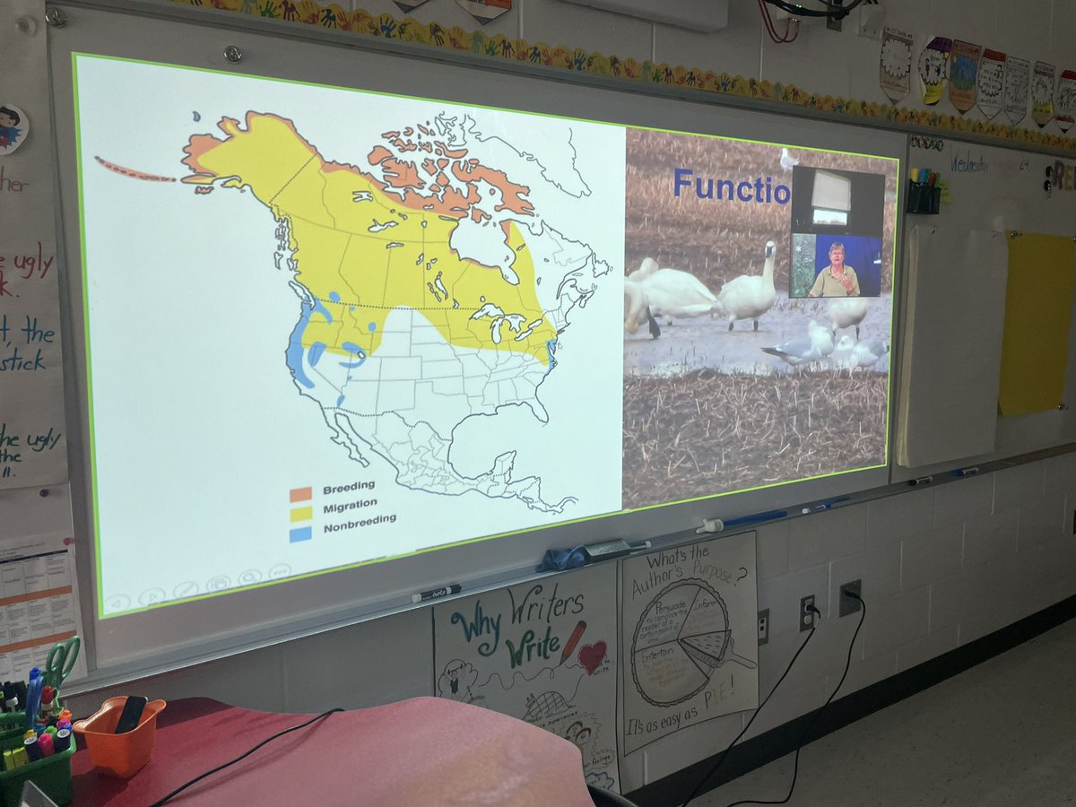 Mrs_Grybas's tweet photo. Thank you to @RBGCanada for the amazingly informative virtual field trip today! Students in 4C were so engaged while exploring wetland habitats. Thank you Karin! @ViolaD_HWDSB @MissA168 https://t.co/uikrZcFZAU