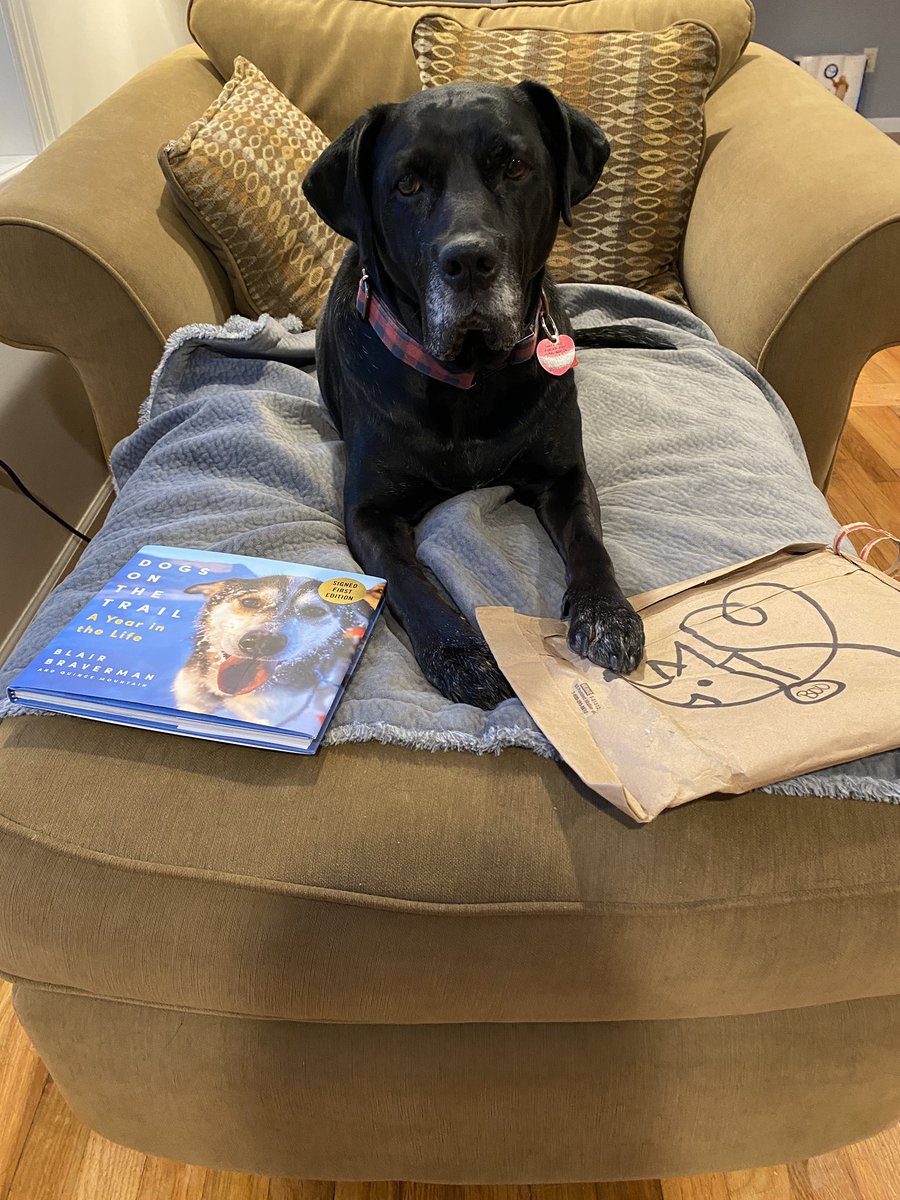 drktsciencelady's tweet photo. It’s here! Annie is looking forward to some bedtime reading. @BooksHonest @BlairBraverman @QuinceMountain #dogsonthetrail #uglydogs https://t.co/2q6phVpCDV