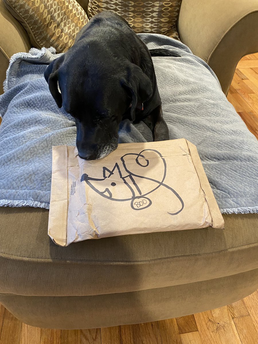 drktsciencelady's tweet photo. It’s here! Annie is looking forward to some bedtime reading. @BooksHonest @BlairBraverman @QuinceMountain #dogsonthetrail #uglydogs https://t.co/2q6phVpCDV