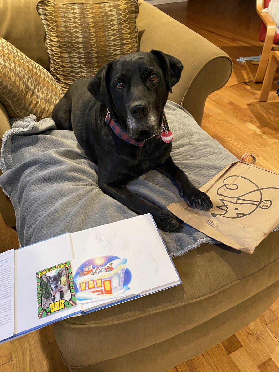 drktsciencelady's tweet photo. It’s here! Annie is looking forward to some bedtime reading. @BooksHonest @BlairBraverman @QuinceMountain #dogsonthetrail #uglydogs https://t.co/2q6phVpCDV