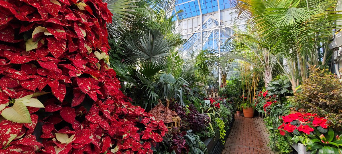 jbk25th's tweet photo. Biltmore Conservatory https://t.co/6cKyrFtKzy