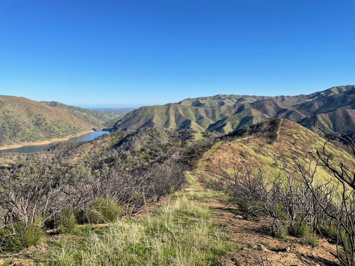 Texosporium's tweet photo. Almost a year after my last visit (and now 15 months post-fire) the landscape is looking greener. Will be a long time til there is old growth chaparral on Wragg Peak again #LNUcomplex https://t.co/jcQWEtAX49