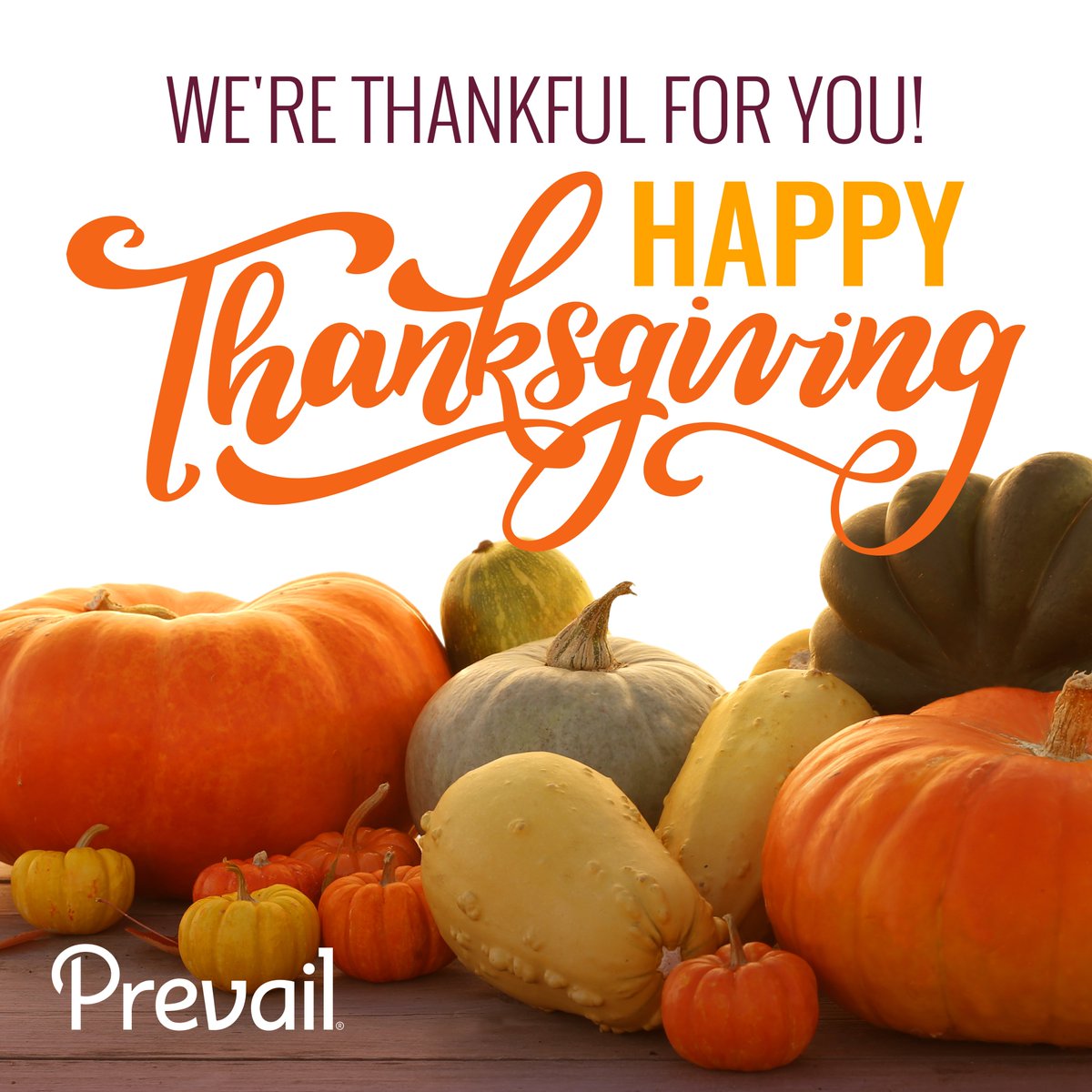 askprevail's tweet photo. We have a lot to be thankful for this year, which includes you! Thank you for being a part of our Prevail community. We hope you have a wonderful day filled with family, food, and gratitude. #HappyThanksgiving ! https://t.co/Q9ZvRw7pJW