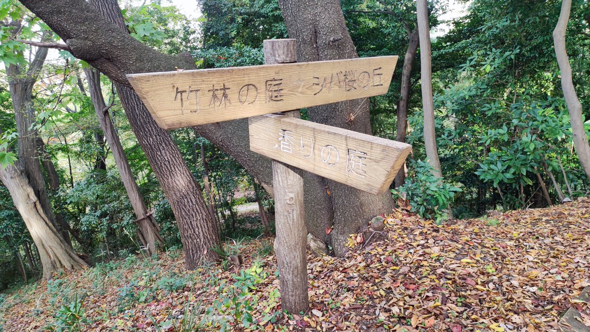 eccrm's tweet image. 迷った