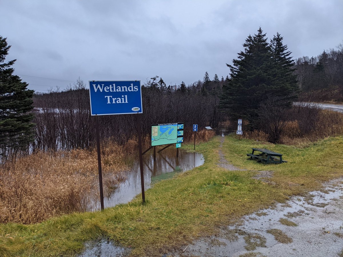 Unwritten75's tweet photo. The #CodroyValley Wetlands Trail is impassible. Be a good kayak trail at this point. The river is SO high. Good the tide was on its way out at this time. (4pm NT) Much higher the school would be flooded.
#nlwx #nlstorm #codroy #newfoundland @CBCNL @NTVNewsNL @battisctv https://t.co/bygHYzbojs