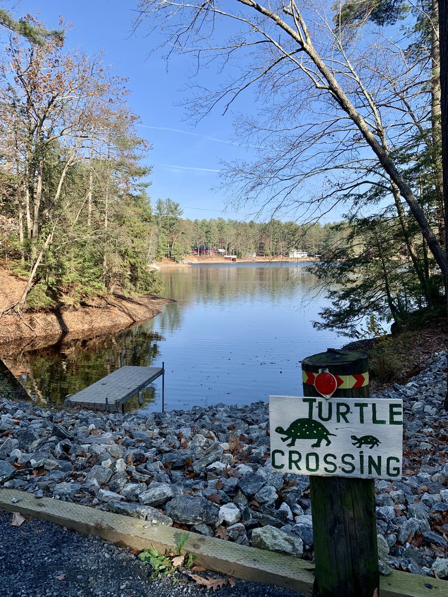 Kim_Janey's tweet photo. “Caring for myself is not self-indulgence. It is self-preservation. And that is an act of political warfare.” - Audre Lorde

#Gratitude #RadicalSelfCare #PeaceBeStill #WakandaPond #GivingThanks #RestAndReflection #ParadisePartOne 💗 https://t.co/DSECVRKBMm