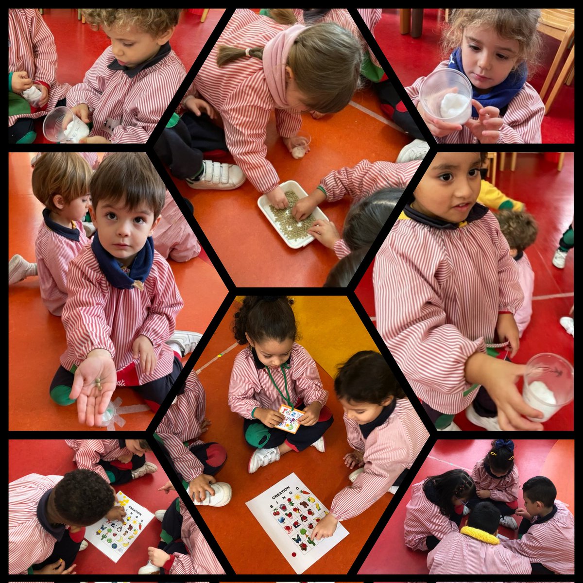 Nazaret Oporto tweet media