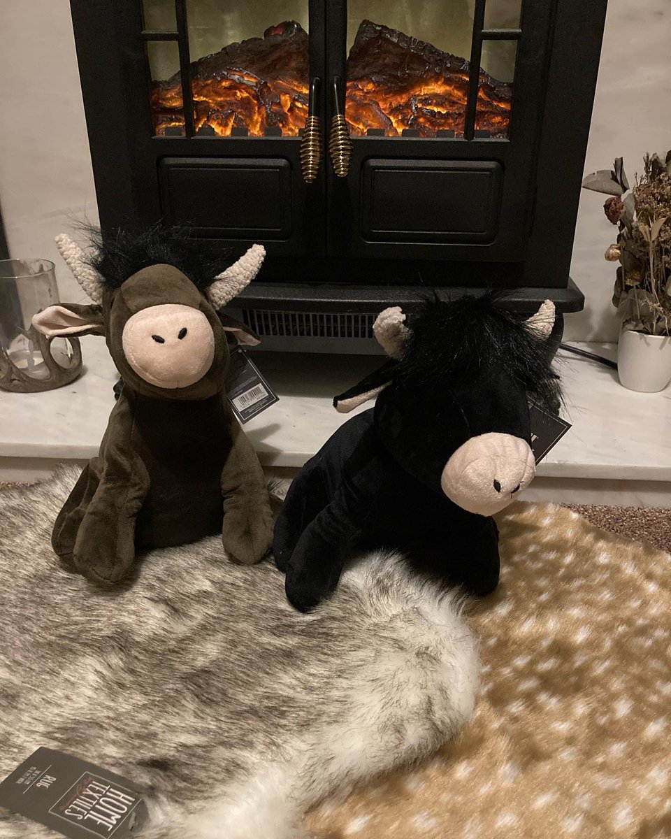 NorthdownRugs's tweet photo. New stock; cosy and cute in time for this chillier weather. Highland Cow Door Stops and gorgeous micro faux fur rugs. They’ll be in the shop tomorrow Burley &amp; Field Lombard St or DM for more info. Free delivery Thanet #burleyandfield #northdownrugs #cozy #interiors #margate https://t.co/vEr8aO1KDt
